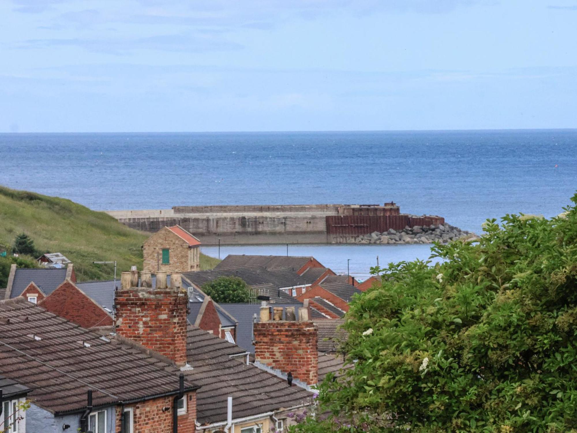 Lady Bird Retreat Villa Saltburn-by-the-Sea Eksteriør billede